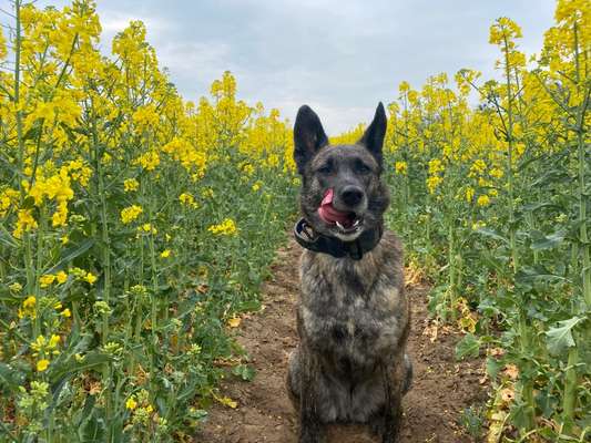 Tongue Out Tuesday-Beitrag-Bild