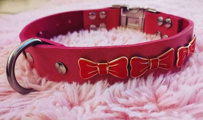 Selbstgemachte Artikel für Hunde-Beitrag-Bild