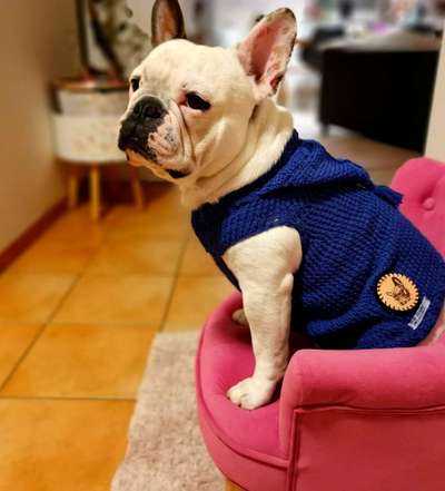 artikel-Beitrag-Bild