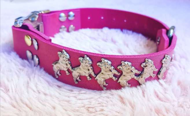 Selbstgemachte Artikel für Hunde-Beitrag-Bild