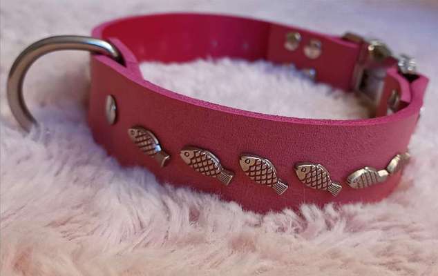 Selbstgemachte Artikel für Hunde-Beitrag-Bild