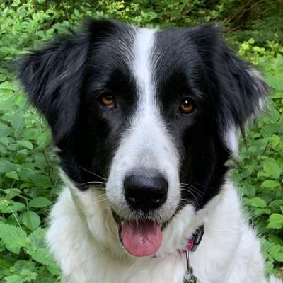 Fotochallange Nr. 57     PORTRÄT.   Beendet!!!!!!!!-Beitrag-Bild