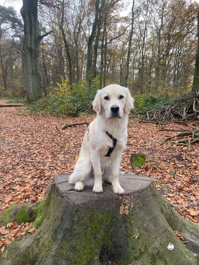 27. Handy Fotochallenge-Beitrag-Bild