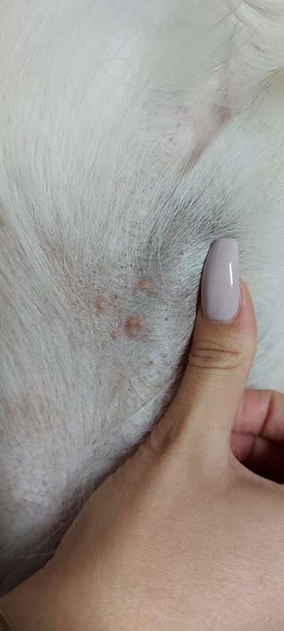 Hautirritationen Herpes/Pilz?-Beitrag-Bild