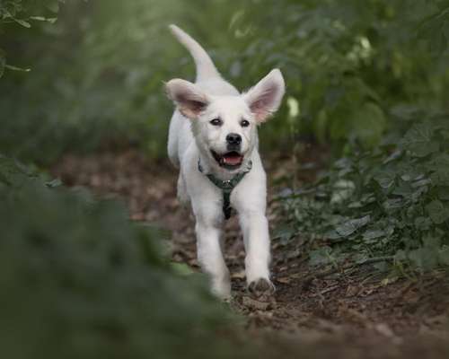 Lieblingsbild-Beitrag-Bild