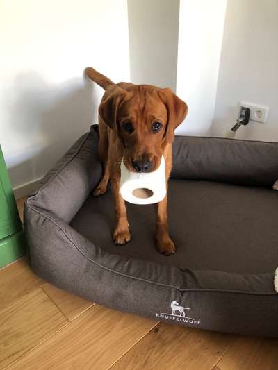 Fotochallenge Nr. 64-Beitrag-Bild