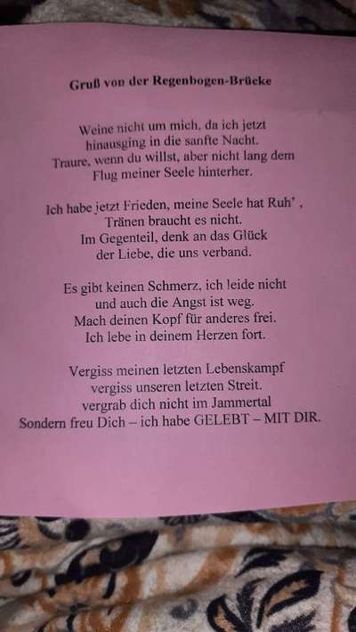 Wann ist es Zeit, sich zu verabschieden?-Beitrag-Bild