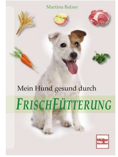 Bücher über Ernährung-Beitrag-Bild