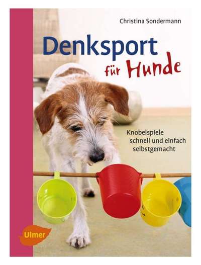 Dackel/beagle fördern-Beitrag-Bild