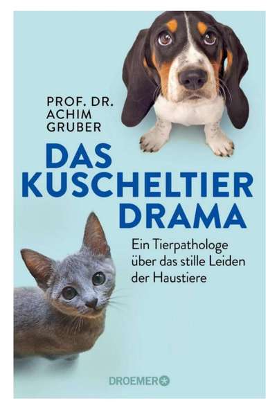 Trend Straßenhund- wer profitiert tatsächlich?-Beitrag-Bild