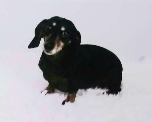 die letzten Jahre mit Malin geniessen.-Beitrag-Bild