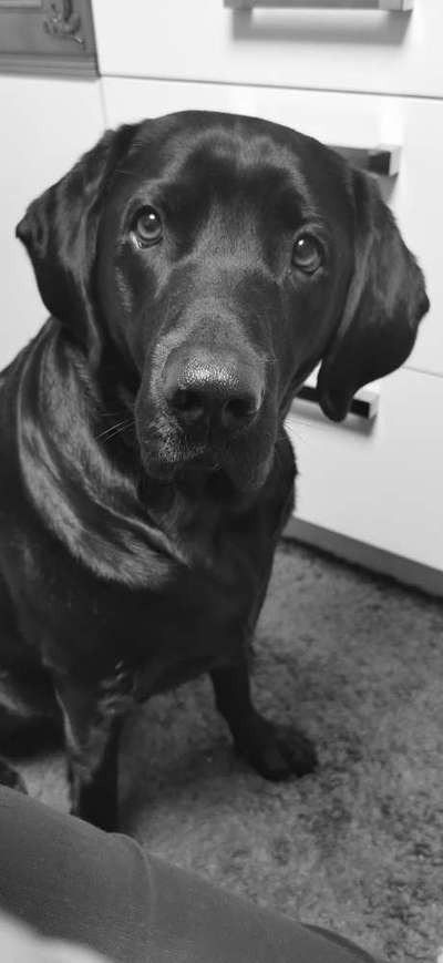 Fotochallange Nr. 57     PORTRÄT.   Beendet!!!!!!!!-Beitrag-Bild