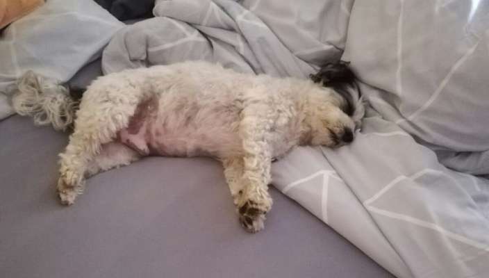 Relaxen im bett-Beitrag-Bild