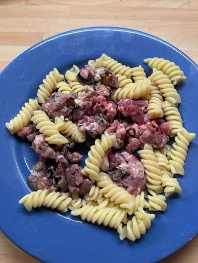 Zeigt her Eure Futternäpfe-Beitrag-Bild