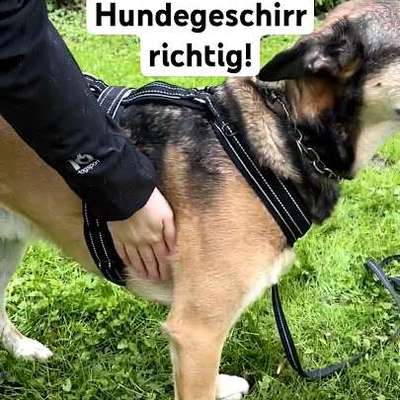 Kahle Stellen-Beitrag-Bild