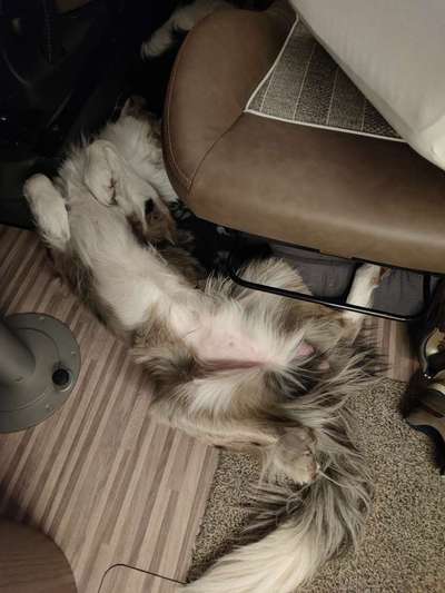 Fotochallenge Nr.65-Beitrag-Bild