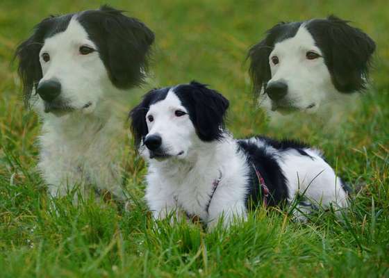 Fotochallenge Nr. 56 - geliebte Senioren-Beitrag-Bild