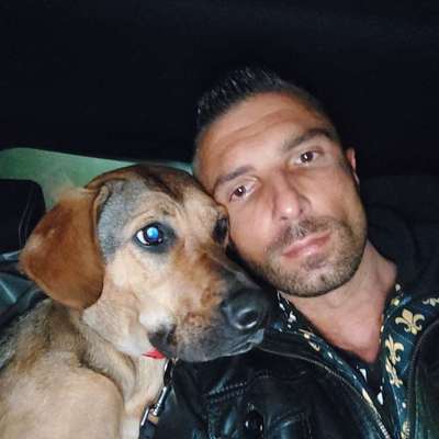 Hundetreffen-Yumi sucht Spielpartner/in und Gesellschaft während der Gassirunde-Bild