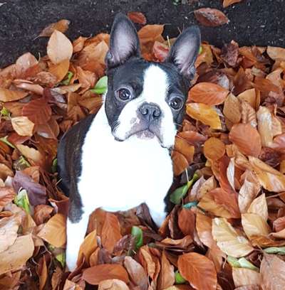 Herbst Bilder-Beitrag-Bild