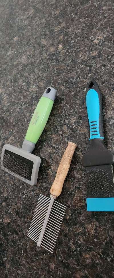 Gibt es hier Irish Soft Coated Wheaten Terrier Besitzer?-Beitrag-Bild