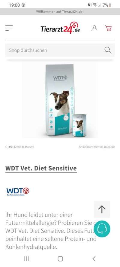 Shih Tzu von Jung bis Senioren-Beitrag-Bild