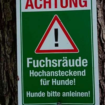 Giftköder-Achtung Fuchsräude-Bild