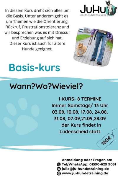 Hundetreffen-Hundetraining (Gruppentraining)-Bild