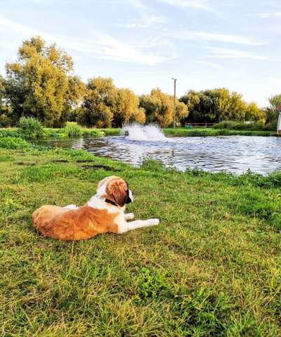 Theos Fotochallange Nummer 4-Beitrag-Bild