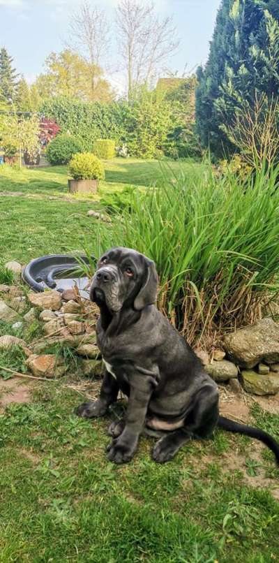 Dogorama Photo Challenge - Steine/Felsen-Beitrag-Bild