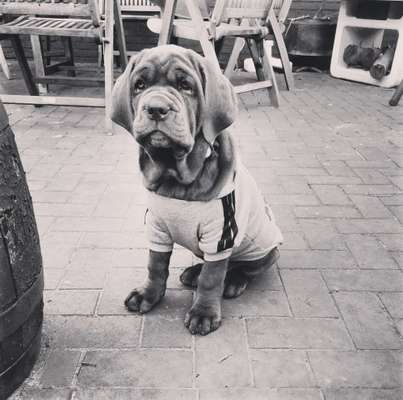 Foto-Challenge 76: Foto in Schwarz-Weiss-Beitrag-Bild