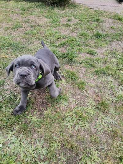 Fotochallange 84-Beitrag-Bild