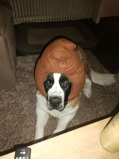 Ratespaß geht weiter-Beitrag-Bild