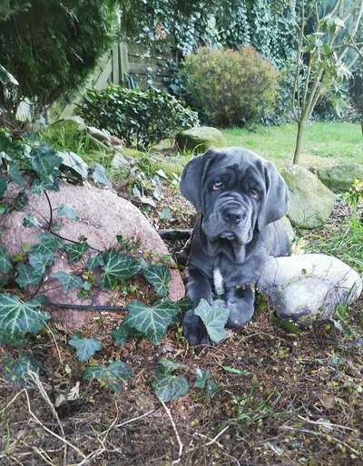 Fotochallenge 78

Es grünt und blüht-Beitrag-Bild