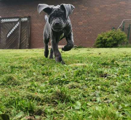 Ratespaß geht weiter-Beitrag-Bild