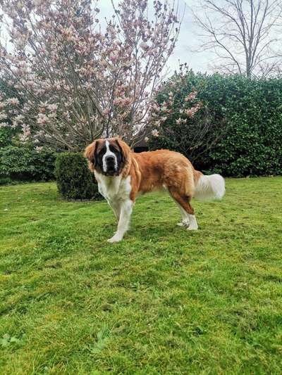 Fotochallenge 78

Es grünt und blüht-Beitrag-Bild