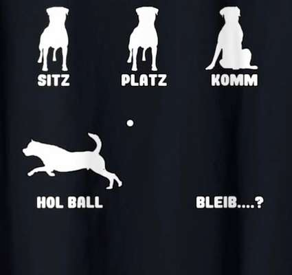 TierschutzhundeStammtisch🐕-Beitrag-Bild