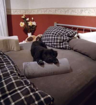 Was wird bei Euch ge..teilt ?-Beitrag-Bild