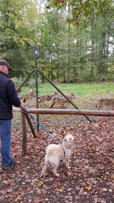 Fotochallenge No. 26                                     Wald und Wiese-Beitrag-Bild