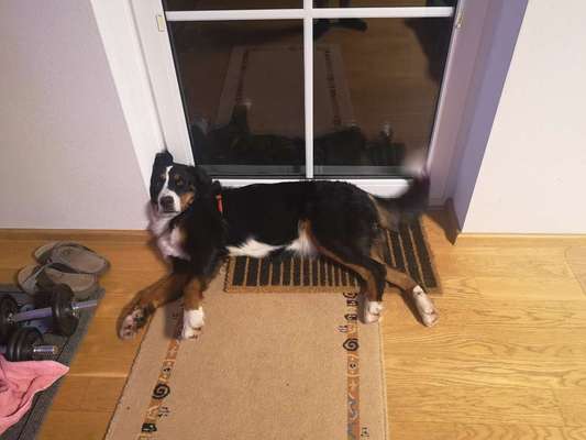 Die unbequemsten und lustigsten Schlafpositionen-Beitrag-Bild