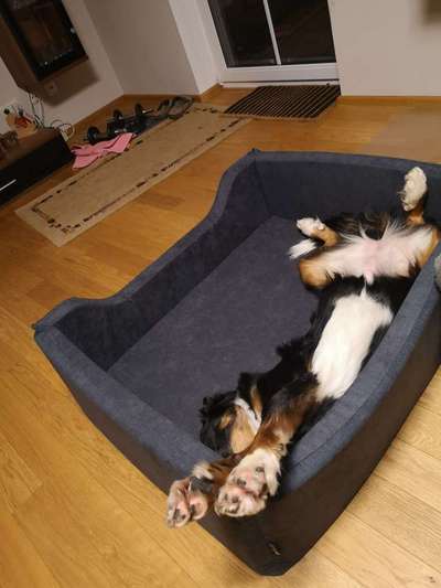 Die unbequemsten und lustigsten Schlafpositionen-Beitrag-Bild