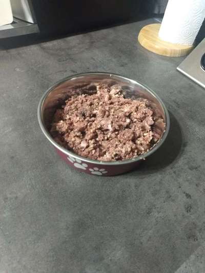 Zeigt eure Näpfe-Beitrag-Bild