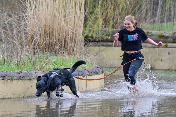 Hundetreffen-Canicross-Bild