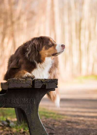 Gibt es Namens-Verwandte-Beitrag-Bild