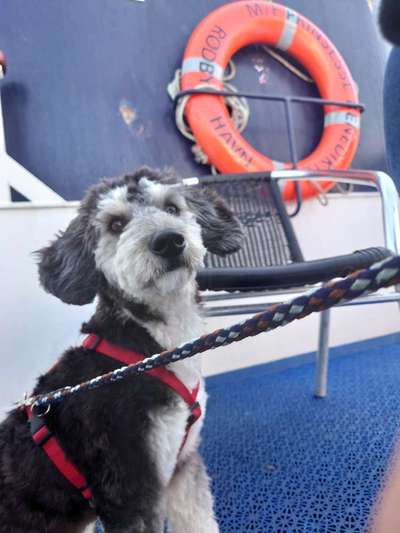 Lieblingsbild-Beitrag-Bild