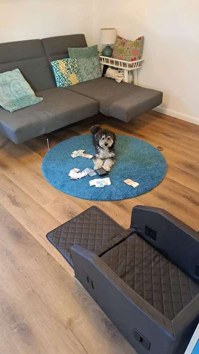 15. Handyfoto Challenge - Indoor Aktivitäten-Beitrag-Bild