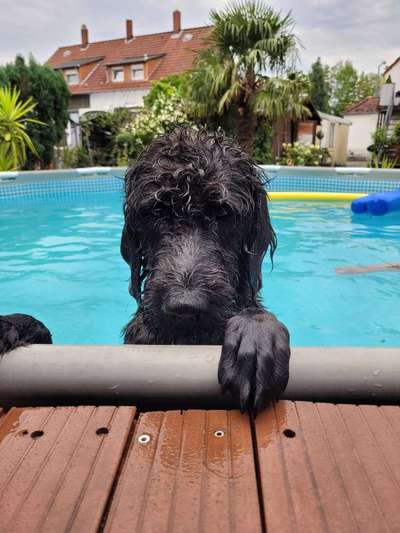 35. Handy Foto Challenge - Das nasse Element-Beitrag-Bild