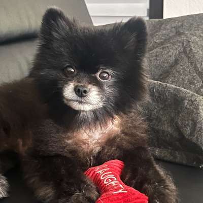 Kahle Stellen-Beitrag-Bild