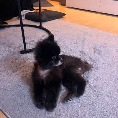 Kahle Stellen-Beitrag-Bild