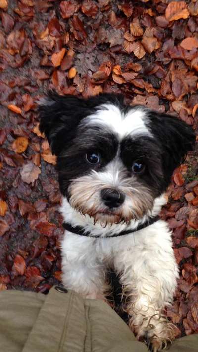 Herbst Bilder-Beitrag-Bild