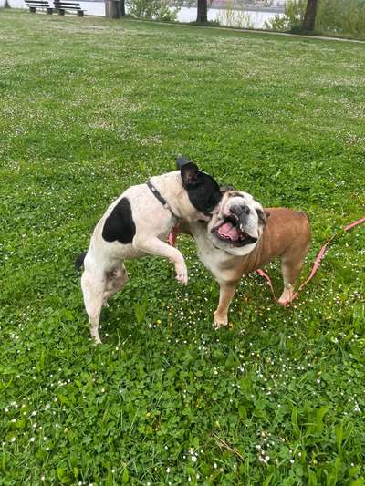 Foto Challange Nr.80-Beitrag-Bild